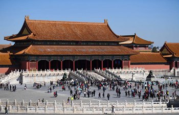 Palace Museum to open more areas to public: report
