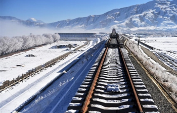 In pics: construction site on Lhasa-Nyingchi section of Sichuan-Tibet Railway in China's Tibet