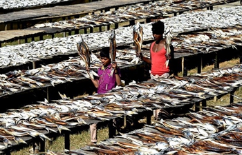 People busy with drying fish in Cox's Bazar, Bangladesh