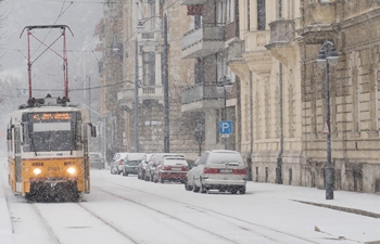 Heavy snowfalls disrupt air, road traffic in Hungary