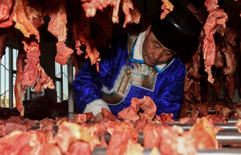 Air-dried beef becomes important source to increase income in Inner Mongolia