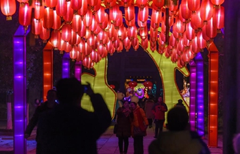 New Year lantern fair held in east China's Anhui
