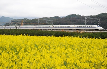 High speed train moves past cole flower fields in Guizhou