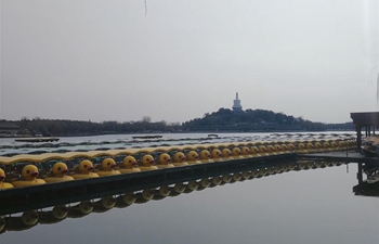 In pics: Beihai Park in Beijing