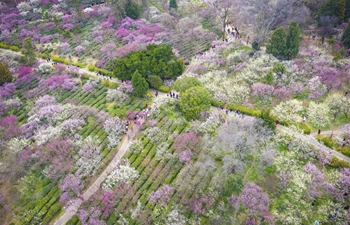 Tourists enjoy scenery of flowers in blossom in China's Jiangsu Province