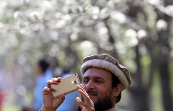 People enjoy view of blooming flower trees in Islamabad, Pakistan