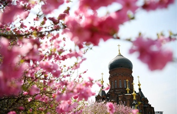 Flowers seen against backdrop of St. Sophia Cathedral in Harbin, China's Heilongjiang