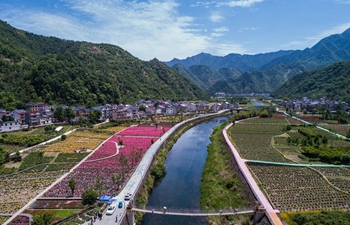 Rose garden becomes rural tourist destination in Hangzhou, China's Zhejiang