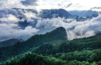 Scenery of Wulongdong National Forest Park in China's Shaanxi