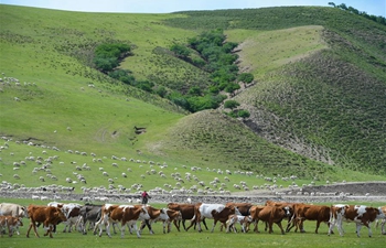 View of Ar Horqin grassland in China's Inner Mongolia
