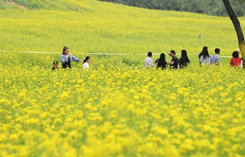Tourists have fun at cole flower fields in China's Shanxi