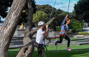 Tree climbing competition held in downtown Wellington, New Zealand