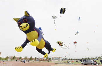 Kite flying contest held in Baotou, China's Inner Mongolia