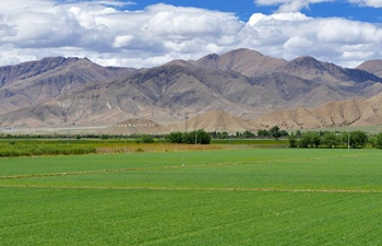 Scenery of Xigaze in southwest China's Tibet