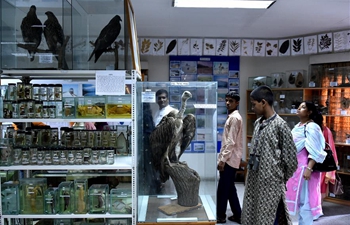 In pics: taxidermy museum in Bangladesh's central Tangail district