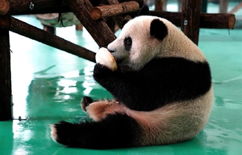 Shanghai Zoo takes measures to help its animals fend off summer heatwave