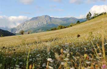 In pics：Picos de Europa National Park in Spain