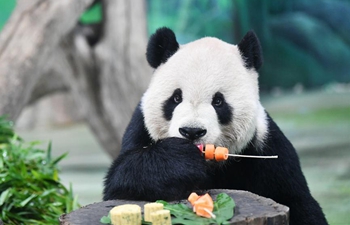 Giant pandas enjoy mooncakes, skewered fruits, vegetables in Taipei