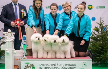 Int'l dog show held in Vilnius, Lithuania