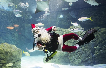 In pics: Santa Claus diving show in Toronto's aquarium