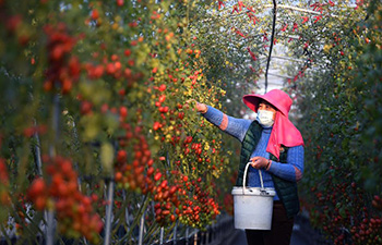 Villagers busy with spring ploughing in east China's Jiangxi