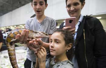 In pics: 2020 Toronto Reptile Expo