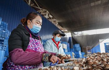Poverty alleviation industrial base resumes production in Chongqing