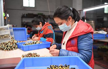 Poverty alleviation workshops resume production in Hunan