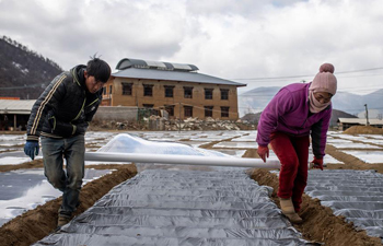 Farmers work in field in Shangri-La, SW China