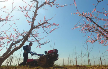 Farmers work in field across China