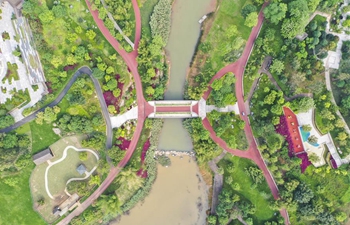 Spring scenery of Nanning Garden Expo Park