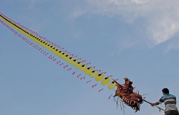 Man flies giant kite in Yogyakarta, Indonesia