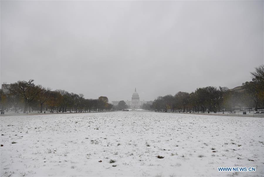 U.S.-WASHINGTON D.C.-SNOW