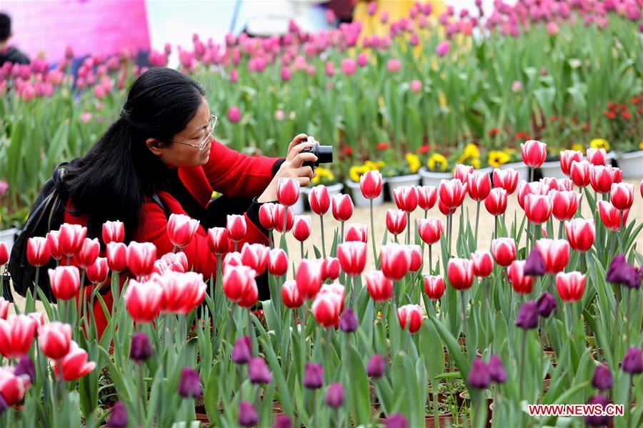 #CHINA-SPRING-FLOWER (CN)