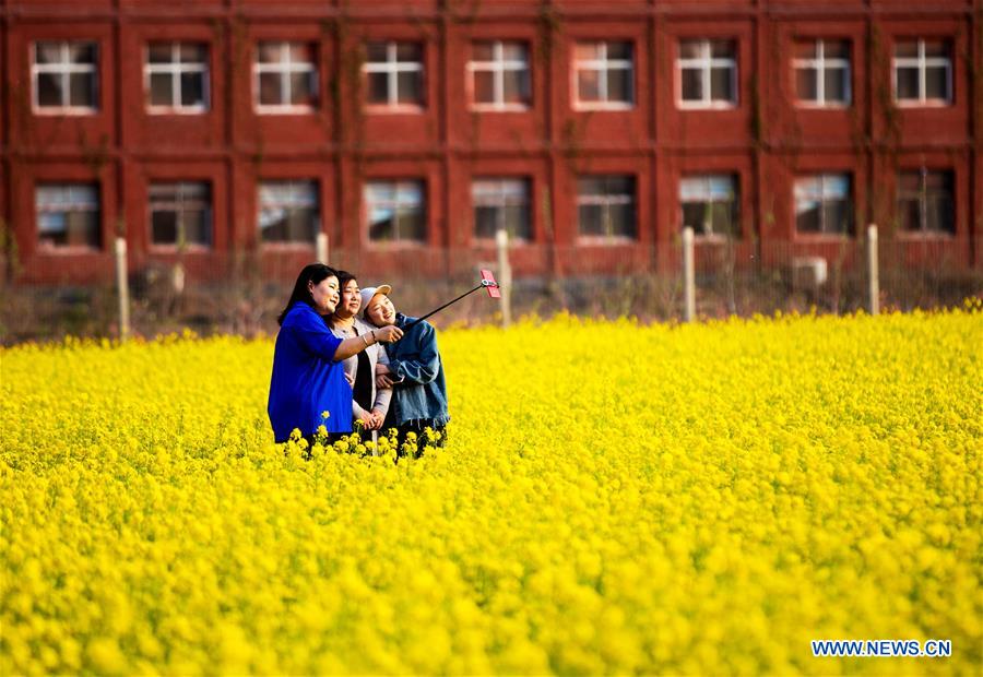 CHINA-HEBEI-COLE FLOWER-SCENERY (CN)