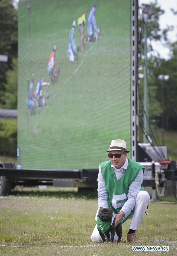 CANADA-VANCOUVER-BULLDOG RACE