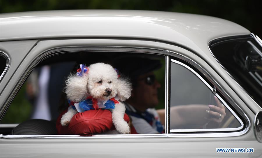 U.S.-SAN FRANCISCO-MEMORIAL DAY-PARADE