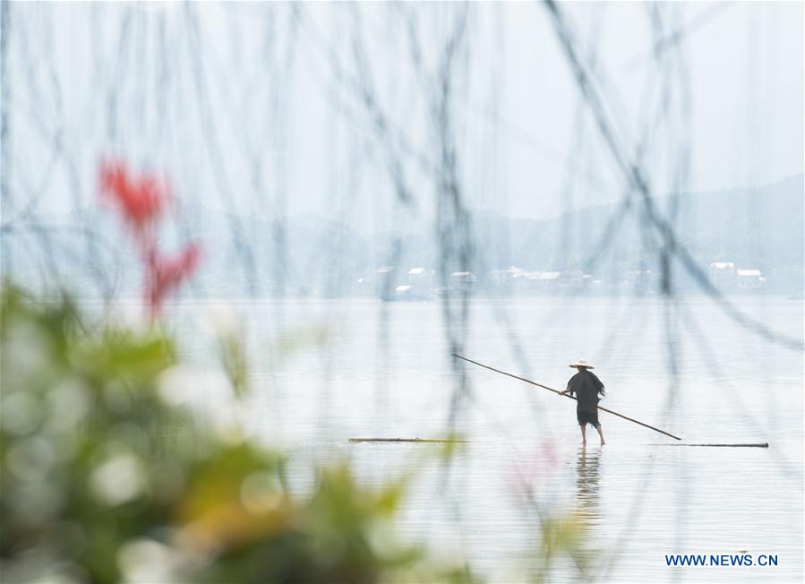 CHINA-ZHEJIANG-HANGZHOU-BAMBOO-CROSSING RIVER (CN)