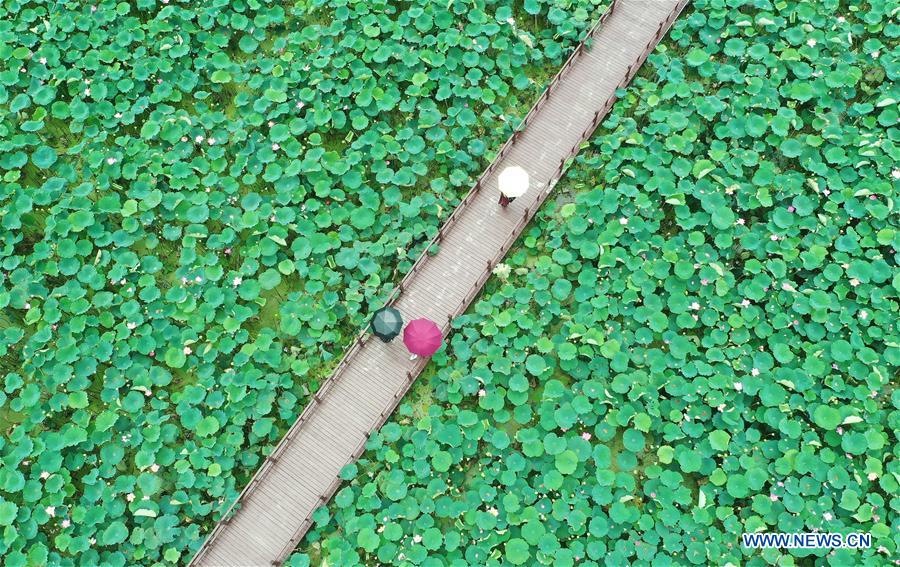 CHINA-SUMMER SCENERY-AERIAL VIEW (CN)