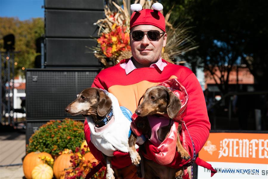 U.S.-TEXAS-STEINFEST