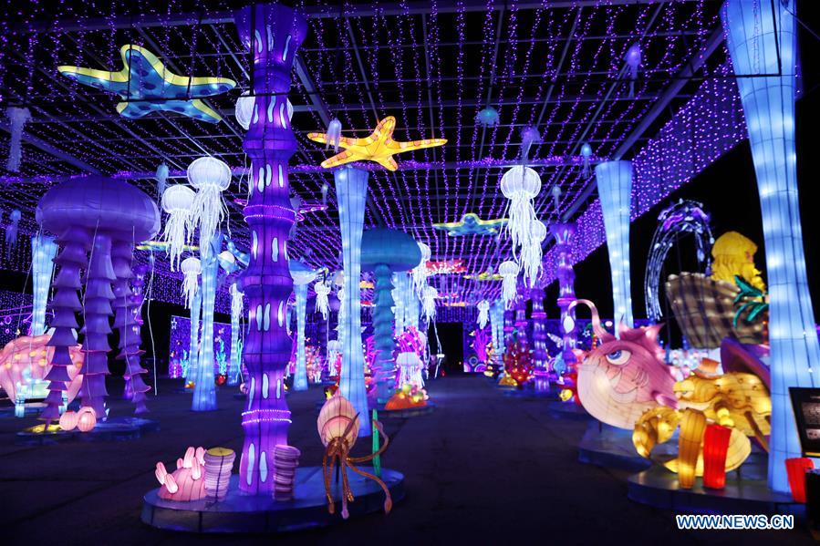 U.S.-LA MARQUE-WINTER LIGHTS FAIR