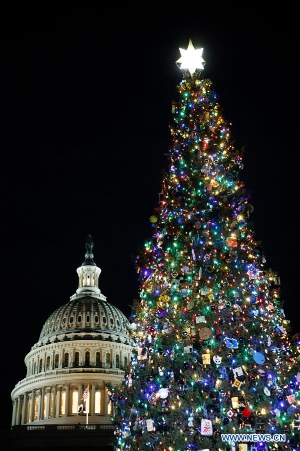 U.S.-WASHINGTON D.C.-CAPITOL CHRISTMAS TREE