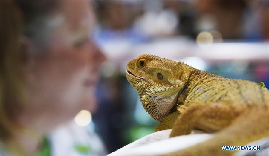 U.S.-ANAHEIM-REPTILE SUPER SHOW