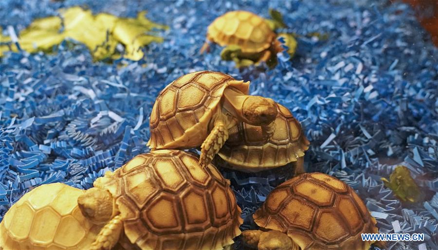 U.S.-ANAHEIM-REPTILE SUPER SHOW