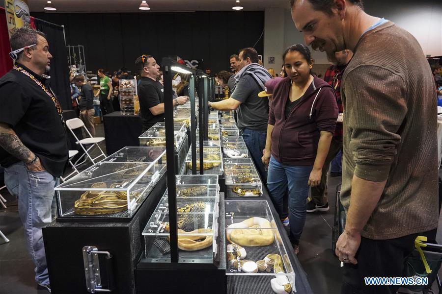 U.S.-ANAHEIM-REPTILE SUPER SHOW