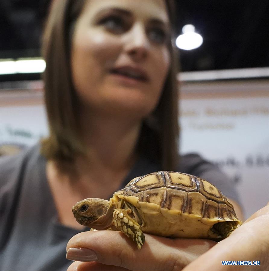 U.S.-ANAHEIM-REPTILE SUPER SHOW
