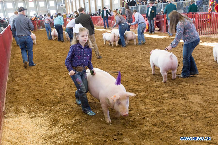 U.S.-TEXAS-FORT WORTH-STOCK SHOW AND RODEO