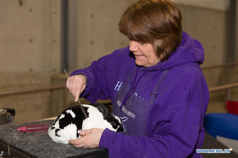 U.S.-TEXAS-FORT WORTH-STOCK SHOW AND RODEO