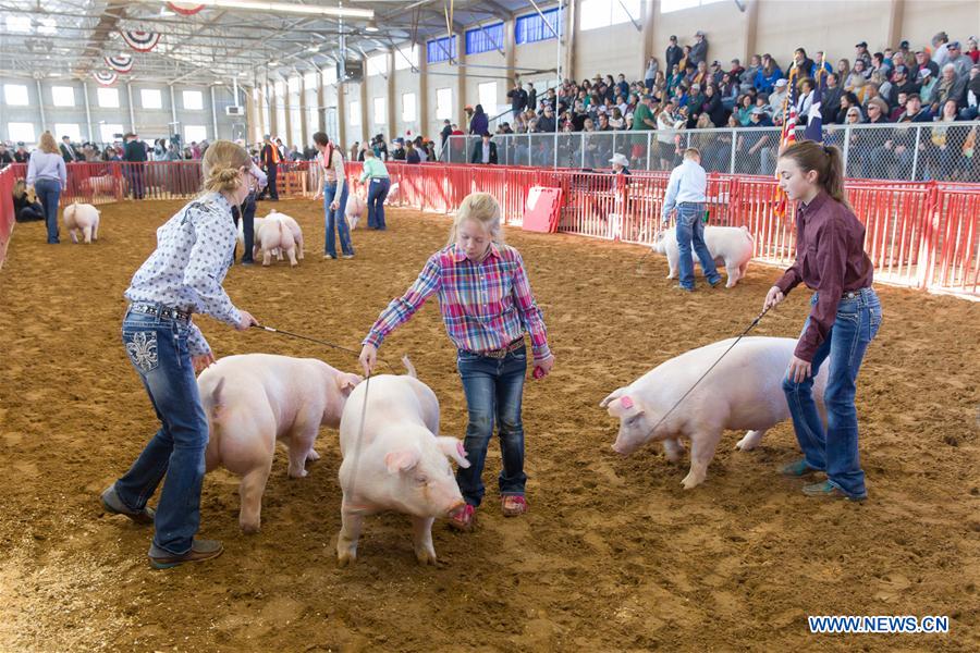 U.S.-TEXAS-FORT WORTH-STOCK SHOW AND RODEO