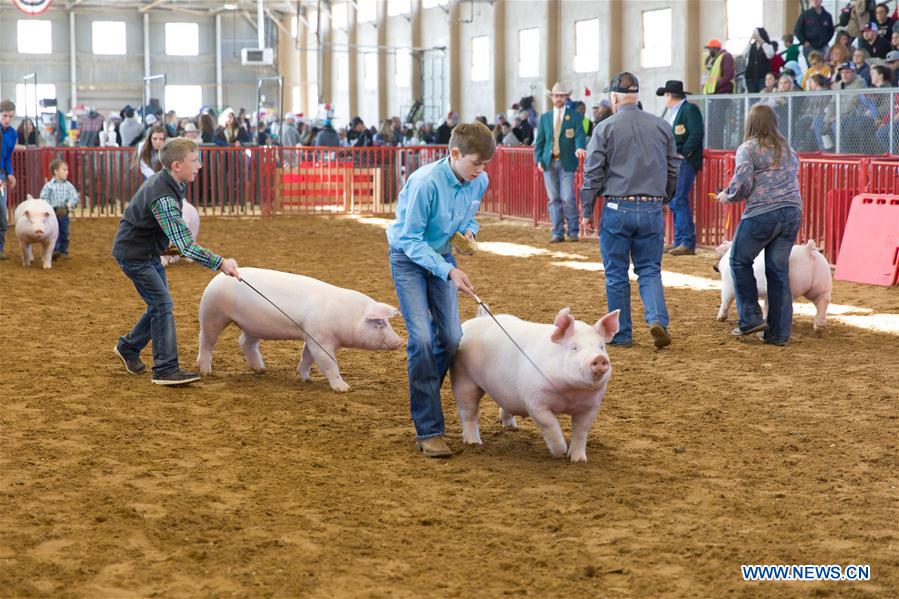 U.S.-TEXAS-FORT WORTH-STOCK SHOW AND RODEO
